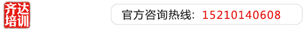 大鸡巴使劲插骚逼视频齐达艺考文化课-艺术生文化课,艺术类文化课,艺考生文化课logo